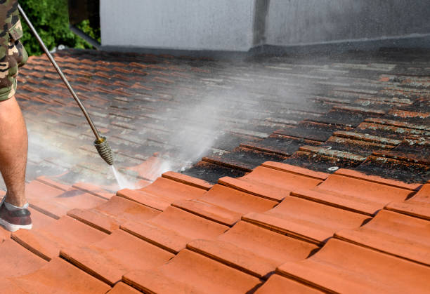 Best House Pressure Washing  in Smithville, TN